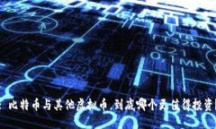 : 比特币与其他虚拟币，到